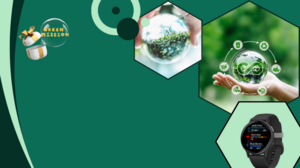 Ηράκλειο: Για την Κυκλική Οικονομία η νέα «Πράσινη Αποστολή» της πλατφόρμας ανακύκλωσης Followgreen του Δήμου