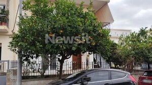 «Το περιμέναμε» λένε γείτονες για τον 65χρονο που επιτέθηκε στον 80χρονο γιατί έκοψε λεμόνια από την αυλή