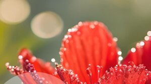  Εθελοντική αιμοδοσία στο Πνευματικό & Νεανικό Κέντρο της Ενορίας Αγίας Τριάδος 