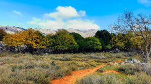Νέα δρομολόγια για τους "Δρόμους Ζωής"