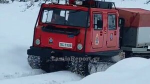 Λαμία: Επιχείρηση της 7ης ΕΜΑΚ σε απροσπέλαστους δρόμους για να σωθούν ζώα