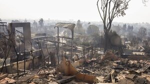 M. Δουκάκης για φωτιές στο Λος Άντζελες: "Μου είπαν είναι καλό να μην επιστρέψεις – Δεν μπορείς να βγεις έξω"