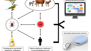 ΙΤΕ: Ανάπτυξη καινοτόμων εργαλείων για την αντιμετώπιση των τσιμπουριών και των νοσημάτων που μεταδίδουν υπό το πρίσμα της κλιματικής αλλαγής
