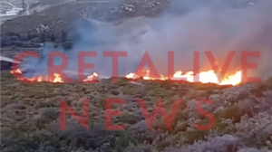 Λήξη συναγερμού για τη φωτιά στον Επανωσήφη