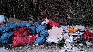 «Και εάν αυτό είναι μέσα σε αστικό ιστό, φανταστείτε τι γίνεται εκτός της πόλης του Ηρακλείου»