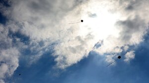 Χανιά: Μεγάλη ανοικτή εκδήλωση για τα Κούλουμα στο άλσος των Αγίων Αποστόλων 