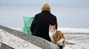 Έρχεται "τσουχτερό κρύο" μέχρι και την Πέμπτη