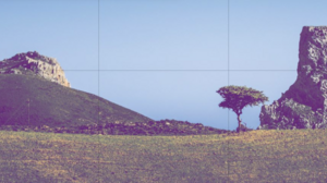 «Οι Μουσικές των Μονοπατιών της Κρήτης»: Συναυλία στο Γαλλικό Ινστιτούτο Ελλάδας 