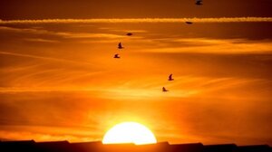 "Ο στόχος να περιοριστεί η υπερθέρμανση του πλανήτη κάτω από τους 2° Κελσίου «είναι νεκρός»"