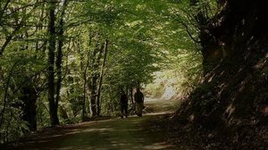 Δημιουργείται εθνικό δίκτυο μονοπατιών και διαδρομών πεζοπορίας - Η πρόταση για την Κρήτη