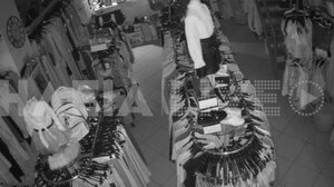 Ηλεία: Βίντεο από τη στιγμή του δυνατού σεισμού των 4,7 Ρίχτερ