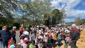 Με επιτυχία η δενδροφύτευση στον Δήμο Πλατανιά