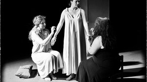 «ΦΙΝΙΣΤ, o Σταυραετός» της Svetlana Petriychuk από τις Queen Bees