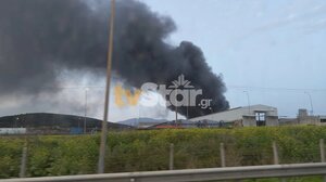Φωτιά σε εργοστάσιο στη Ριτσώνα: Ήχησε το 112