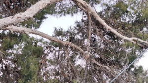 «Φοβόμαστε να περάσουμε για να μπούμε στα σπίτια μας, κάτι πρέπει να γίνει»