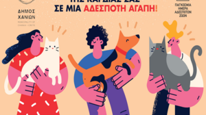 Παγκόσμια Ημέρα Αδέσποτων Ζώων – Δράσεις του Δήμου Χανίων για την προστασία και τη φροντίδα των αδέσποτων ζώων