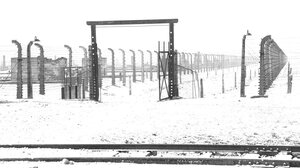 "Σκιές του Παρελθόντος: Η Ιστορία του Άουσβιτς μέσα από το Φως και τη Σιωπή"