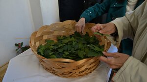 Κυριακή των Βαΐων 2025: Τι γιορτάζουμε και γιατί τρώμε ψάρι