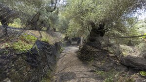 Στα μονοπάτια του Δήμου Καντάνου - Σελίνου