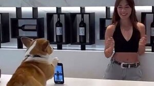 Σκύλος... επαγγελματίας εικονολήπτης!