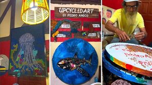 Καλλιτέχνης δημιουργεί πίνακες με σκουπίδια από παραλίες