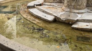 Θλίψη για τα θρυλικά "Λιοντάρια"