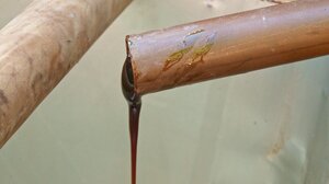 Τέσσερα νέα στοιχεία στο Εθνικό Ευρετήριο Άυλης Πολιτιστικής Κληρονομιάς της Ελλάδας 