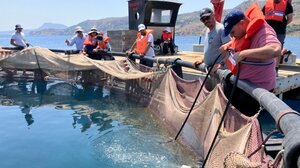 To νέο Κέντρο Επίδειξης Υδατοκαλλιέργειας στο Ηράκλειο ολοκλήρωσε την πρώτη του εκπαίδευση