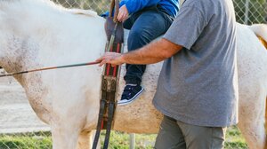 Θεσσαλονίκη: Στη φυλακή εκπαιδευτής ιππασίας που κατηγορείται για σεξουαλική κακοποίηση ανηλίκων αθλητριών