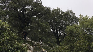 Προληπτικά μέτρα σε περιοχές Natura στο Λασίθι λόγω αυξημένου κινδύνου πυρκαγιάς