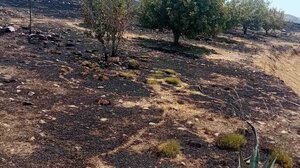 Φωτιά και στις Μέλαμπες, μεγάλη κινητοποίηση για το πύρινο μέτωπο κοντά στο Λέντα