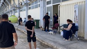 Χανιά: Μεγάλη ανταπόκριση στην τριήμερη φιλοζωική δράση για ευάλωτες κοινωνικές ομάδες 