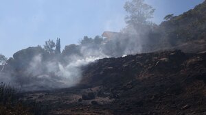 Πυρκαγιά στην Εύβοια: Χωρίς ενεργό μέτωπο – Συνελήφθη αλλοδαπός