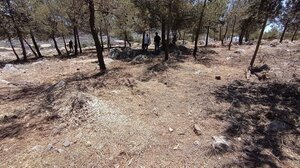 Αντιπυρικές ζώνες στον Δήμο Χερσονήσου 