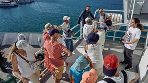 Ηράκλειο: Κοσμοσυρροή στο πλοίο Arctic Sunrise της Greenpeace