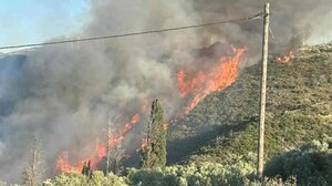 Μεγάλη φωτιά στα Μεσοχώρια Ευβοίας: Επιχειρούν 14 αεροπλάνα και 4 ελικόπτερα - Μήνυμα του 112 για εκκένωση