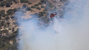 Άμεσα μέτρα για τις πυρόπληκτες περιοχές της Ιεράπετρας ζητούν οι τοπικοί φορείς