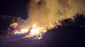 Φωτιά στον Προφήτη Ηλία έκαψε ξηρά χόρτα και απορρίμματα!