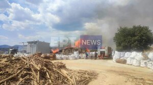 Συναγερμός στις Σέρρες: Φωτιά σε εργοστάσιο ξυλείας στο Νέο Σούλι