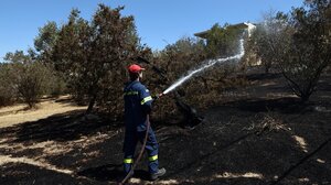  Αυτοψία Κ. Κατσαφάδου σε καμένες εκτάσεις της Ανατολικής Αττικής 