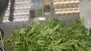 Καλλιεργούσε κάνναβη, είχε και λαθραία τσιγάρα