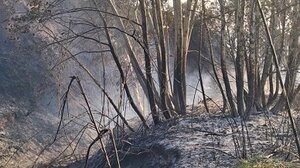 Στάχτες και αποκαϊδια στο Μεσοχωριό από την καταστροφική φωτιά! (photo)