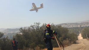 Μία σύλληψη για την πυρκαγιά στη Θέρμη Θεσσαλονίκης