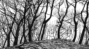 Χανιά: Επανενώνοντας τον Άνθρωπο με τη Φύση: Από την Κλιματική Κρίση στη Συμφιλίωση»