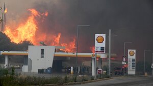 Δήμαρχος Δυτικής Αχαΐας: «Αν η φωτιά περάσει στο δάσος της Μόβρης, θα φτάσει μέχρι την Ηλεία»