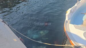 Σύρος: Αυτοκίνητο έπεσε στη θάλασσα