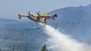 Μαίνεται μεγάλη δασική πυρκαγιά στην Αλβανία - Η Ελλάδα στέλνει πυροσβεστικά αεροσκάφη