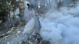 Φθιώτιδα: Με εναέρια μέσα και πυροσβεστήρες ελέγχθηκε άμεσα δασική πυρκαγιά - Εντυπωσιακές εικόνες