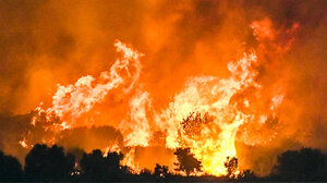 Λαγουβάρδος για πυρκαγιές: 454.000 στρέμματα έχουν καεί στην Ελλάδα, από την αρχή του έτους