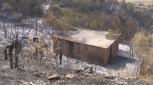 Νότια Αλβανία: Χιλιάδες στρέμματα έγιναν στάχτη από τη φωτιά